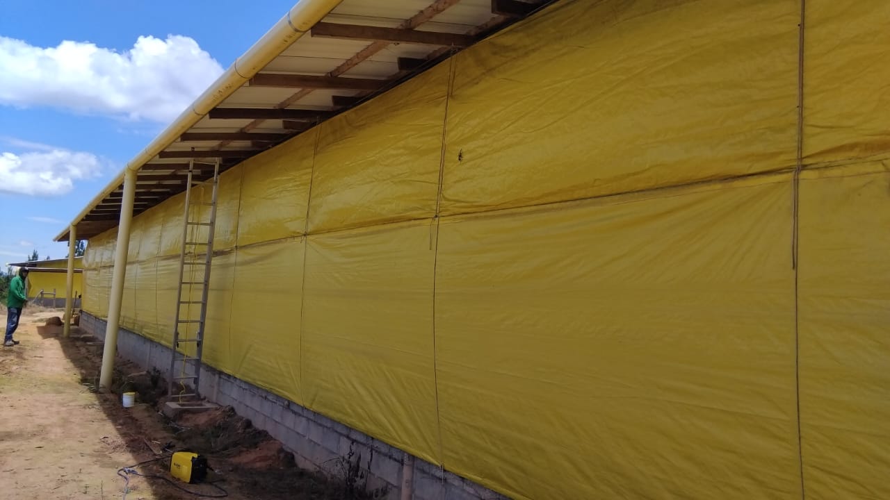 Sistema de cortinas laterales enrollables para galpones porcícolas - 2.2